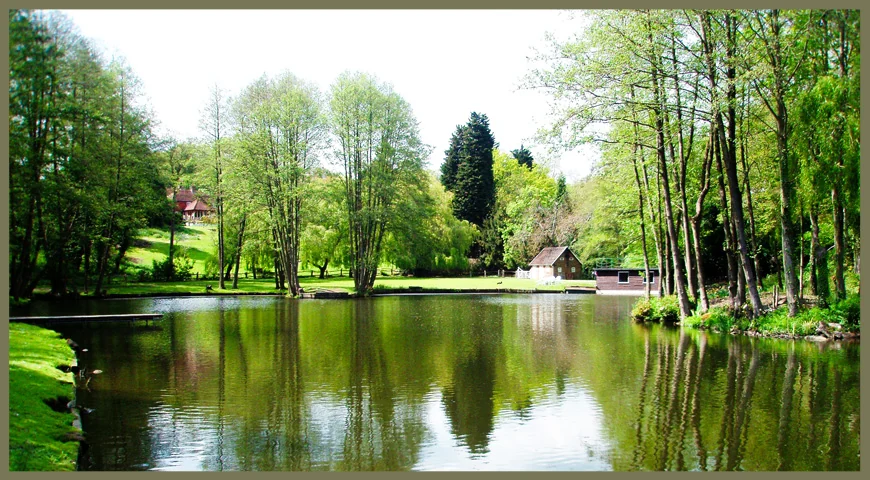 Lake Map 3 at Leigh Mill Fishing